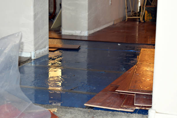 Professional Water Damage Restoration technician working in Westhampton, NY
